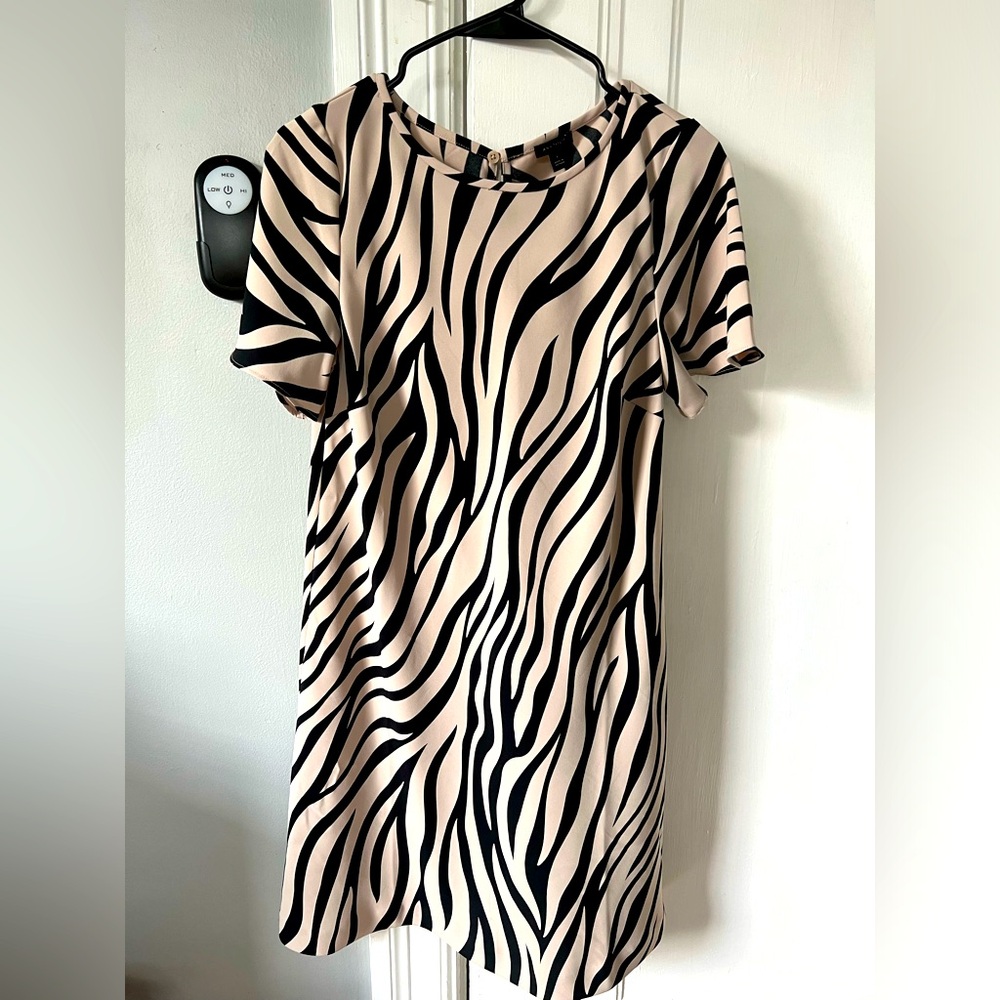 Ann Taylor Zebra Print Dress